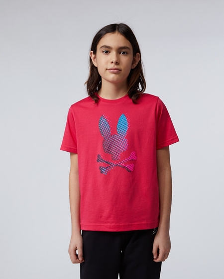 Camiseta Psycho Bunny - Rosa